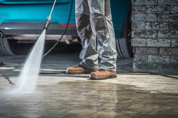 Best Roof Cleaning and Mildew Removal in Churubusco, IN